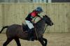 Oxford Polo 2023_01_22 0059